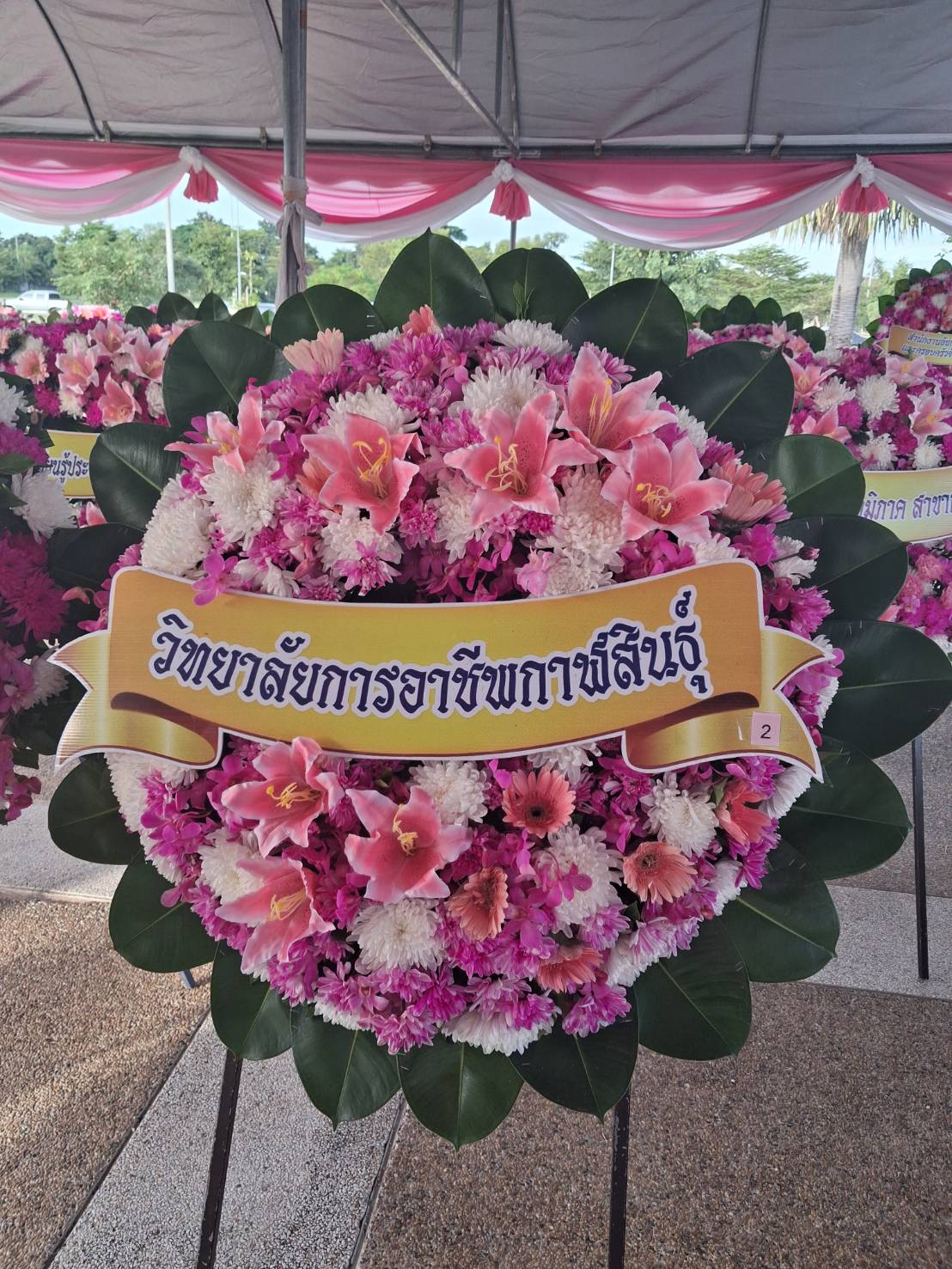 566223385 694792406987633 7894038613023695061 n