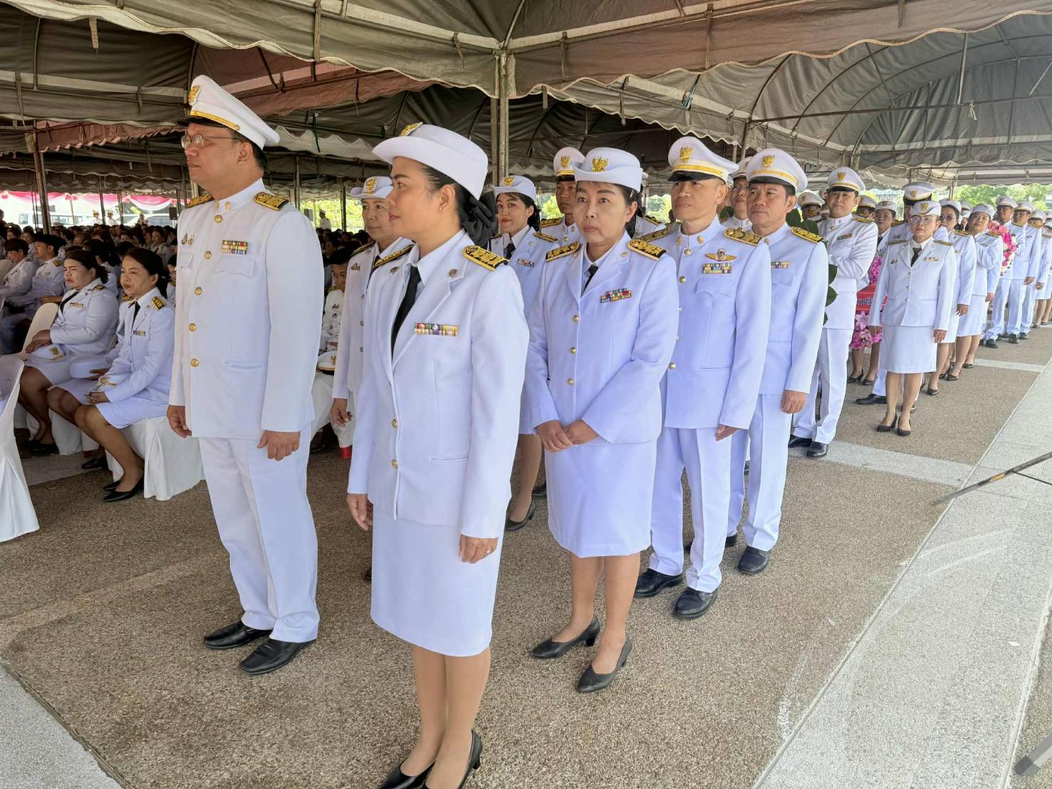 567857806 694792170320990 5102399796631281280 n