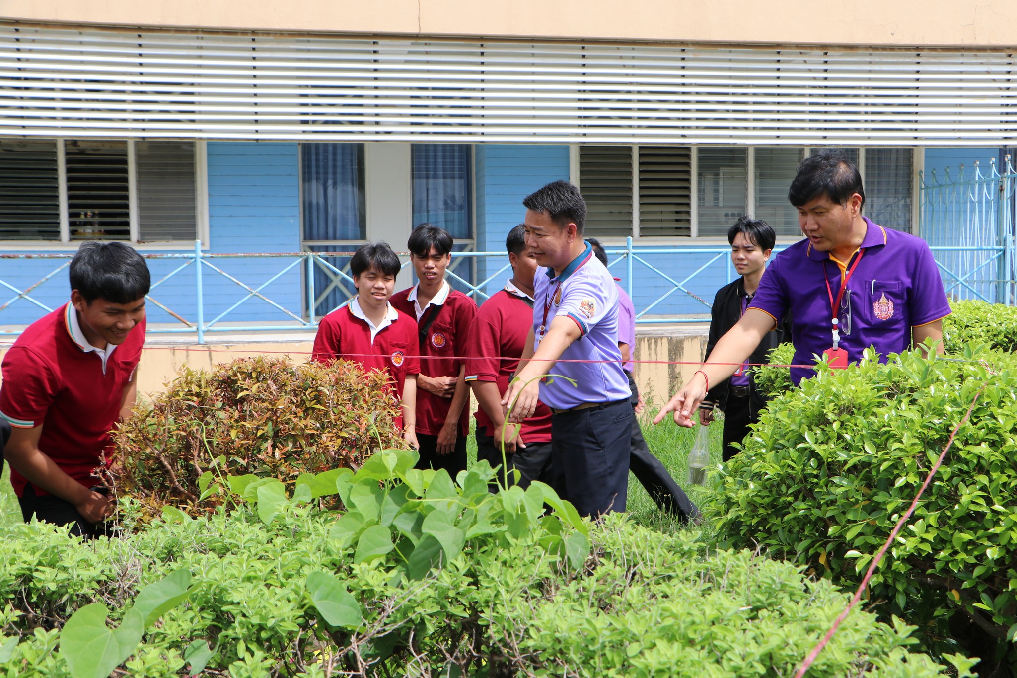 522925848 621281971005344 2603558284813554412 n