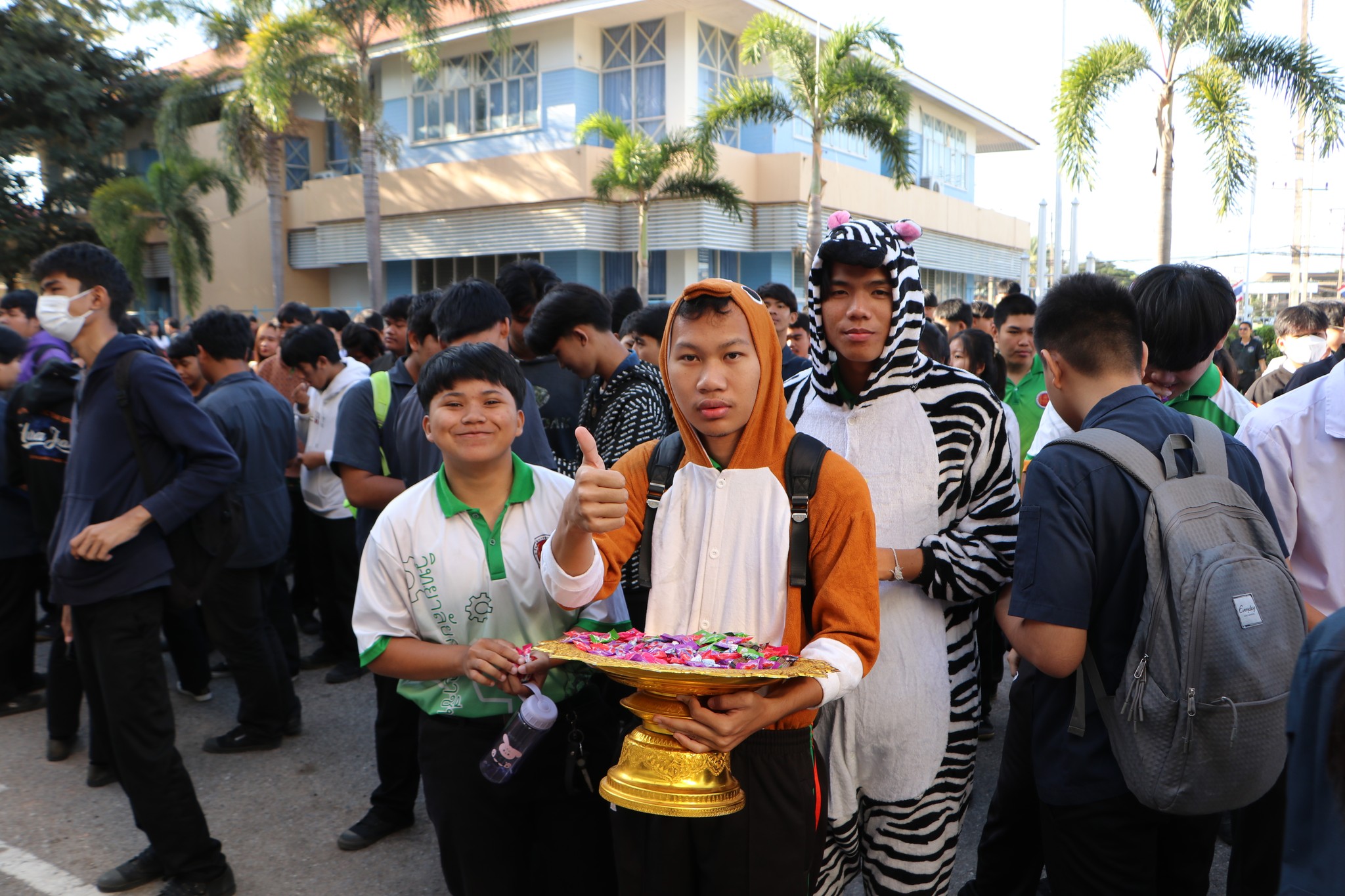 602380174 743219552144918 3507486612900074209 n