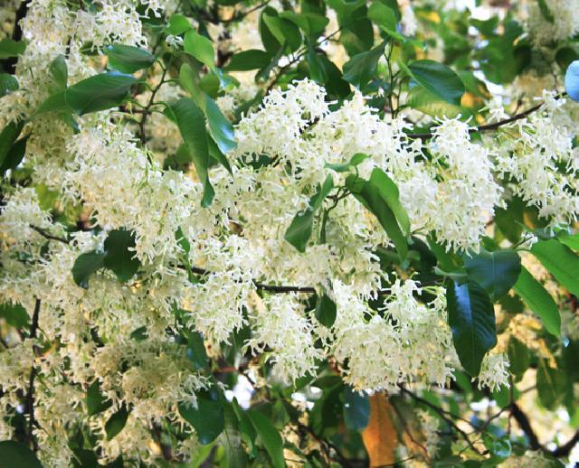 464170849 9172867692728177 7215571009093495762 n